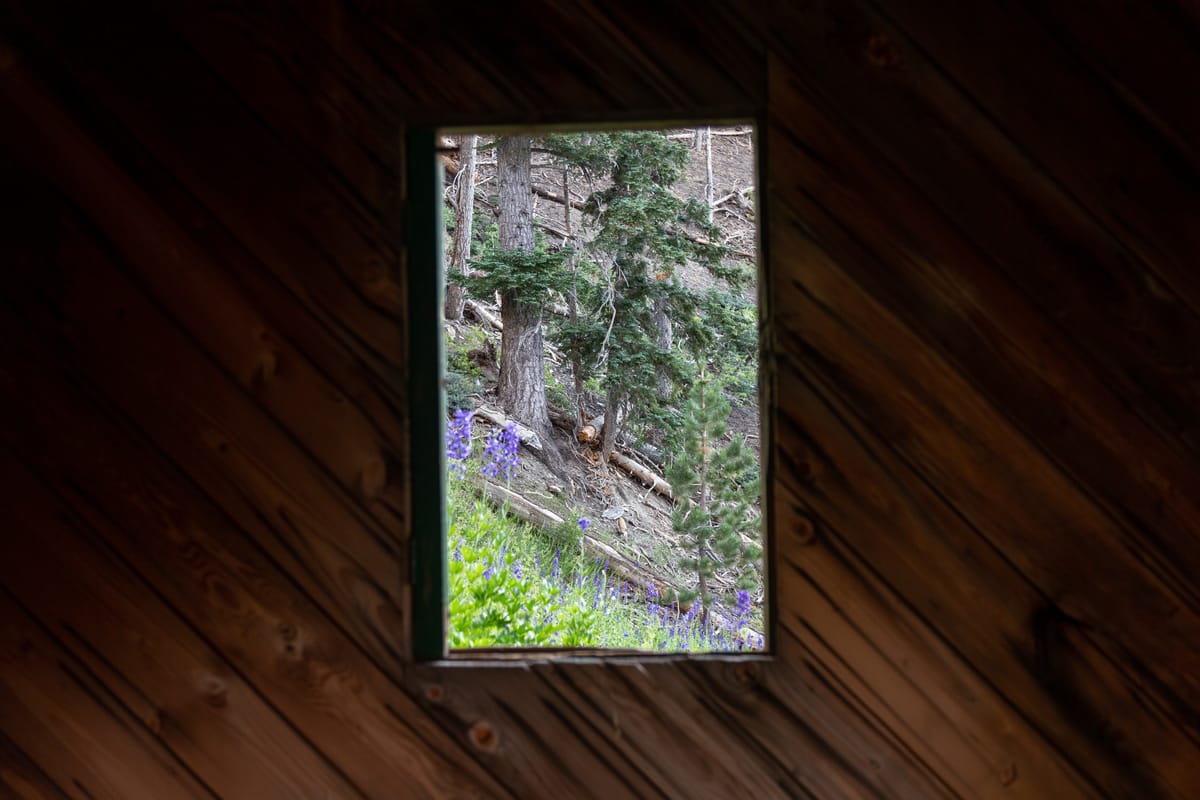 Welcome! Here's why this project exists, and a little bit about me