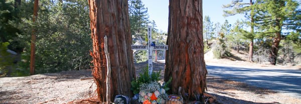 Roadside Memories in Angeles National Forest