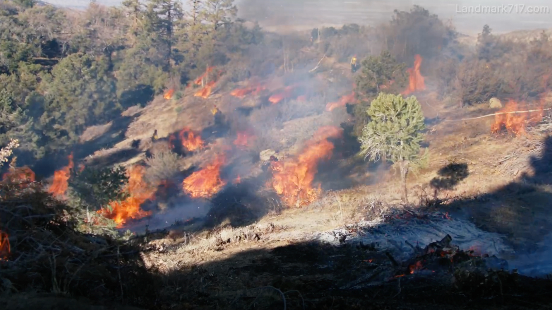 Angeles National Forest Prescribed Fire